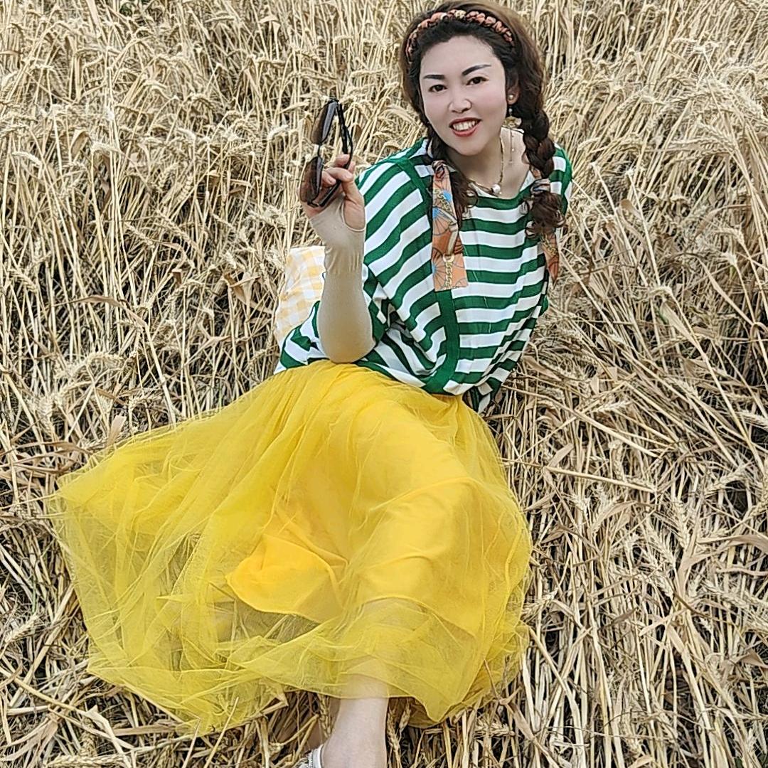 风雨彩虹
