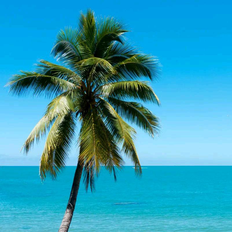 之江✨⁰⁹⁰⁹