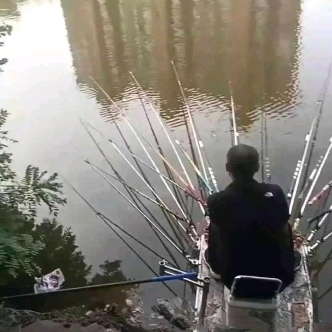 嘉兴无鱼🐠🐠🐠🐠