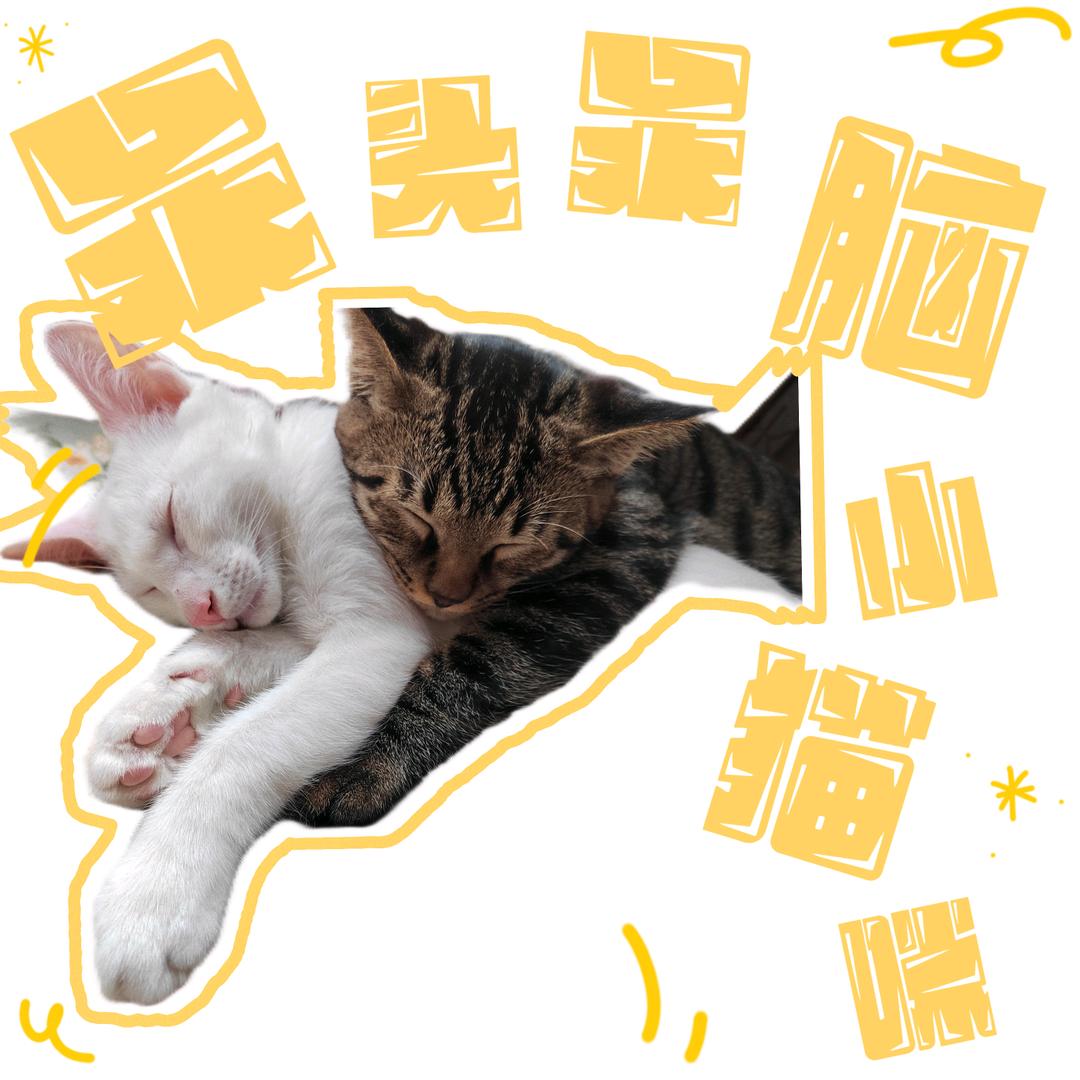 七七