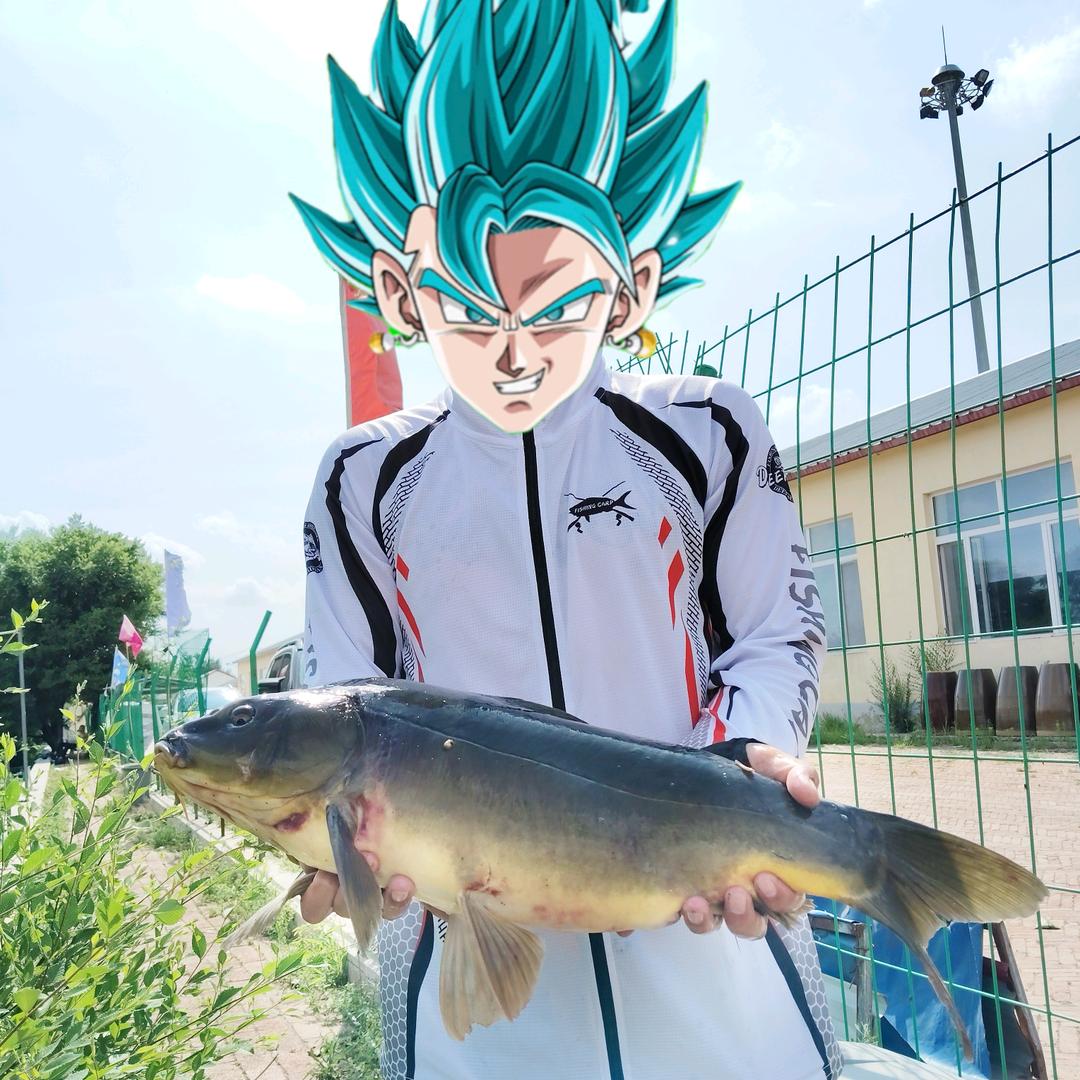 尼卡