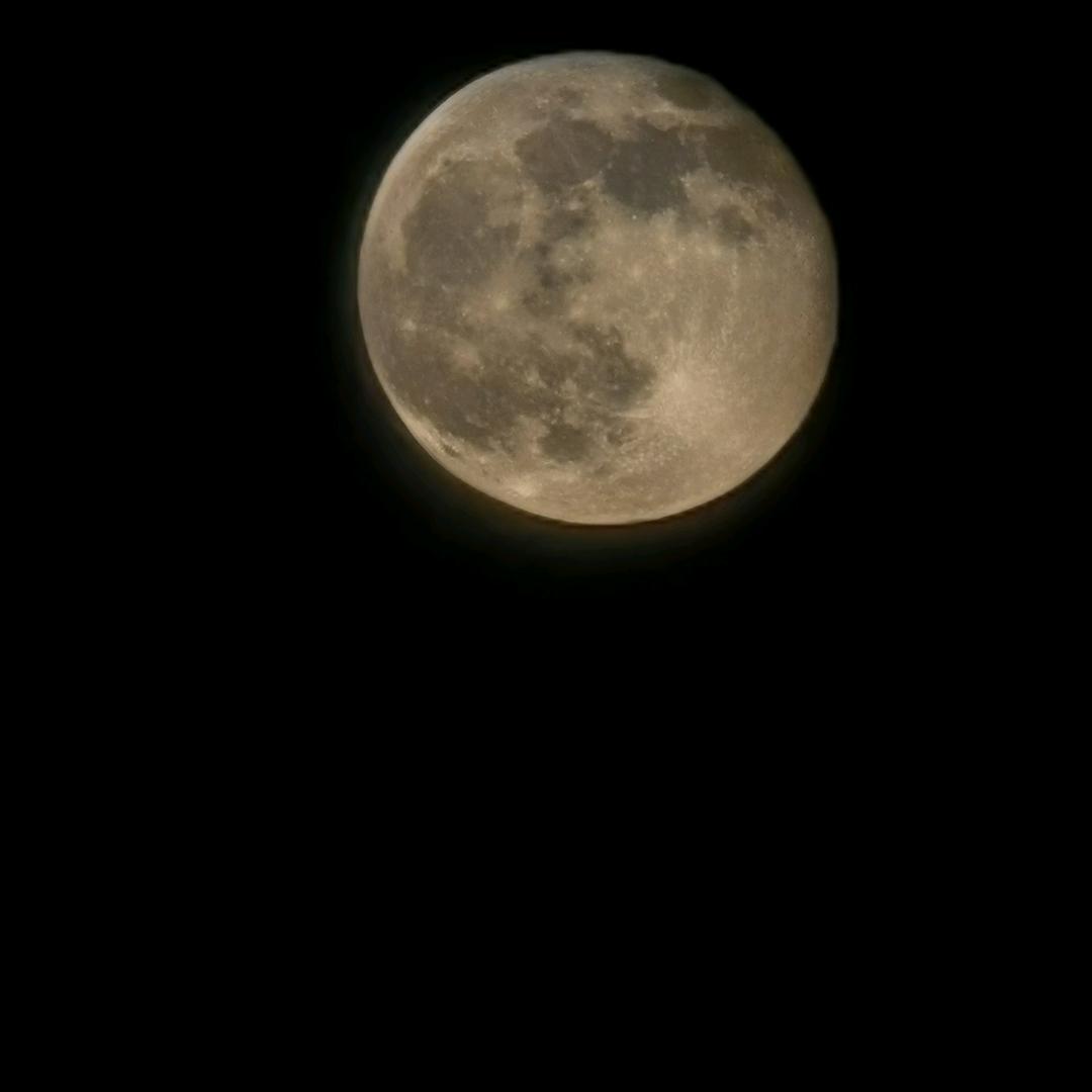 我本将心向明月，奈何明月照沟渠