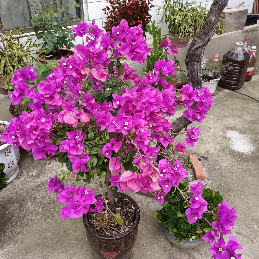 上善若水，厚德载物