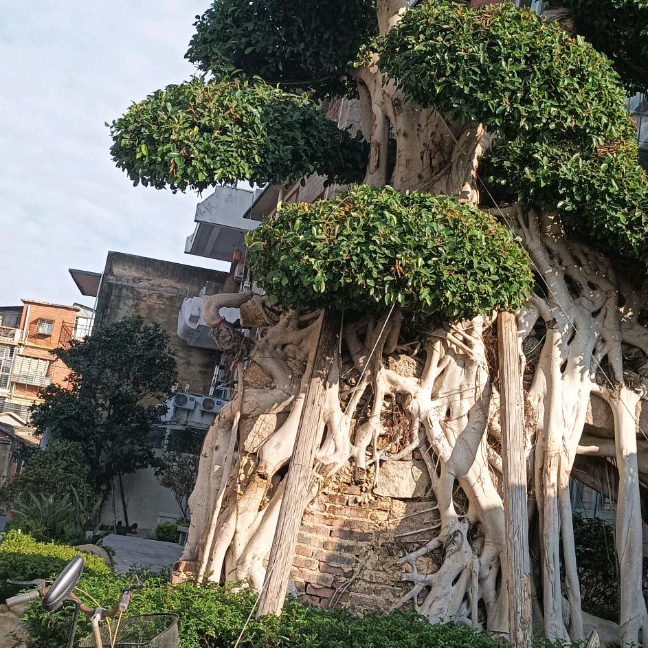 用户6155168122641张化山