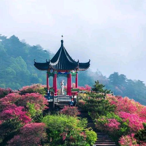 峻秀龟峰