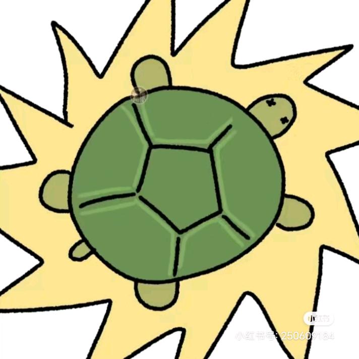 钵钵龟（四级这次一定