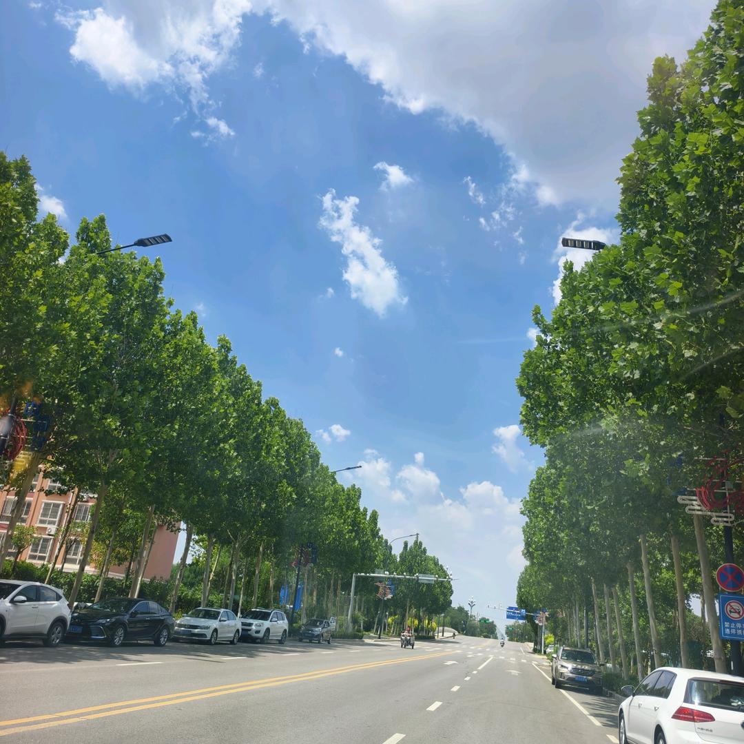 🩷好柿发生🩷