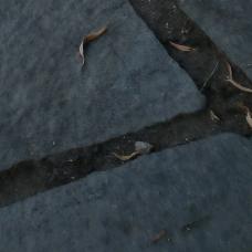 .。。。。。。。。。.... .。，。t