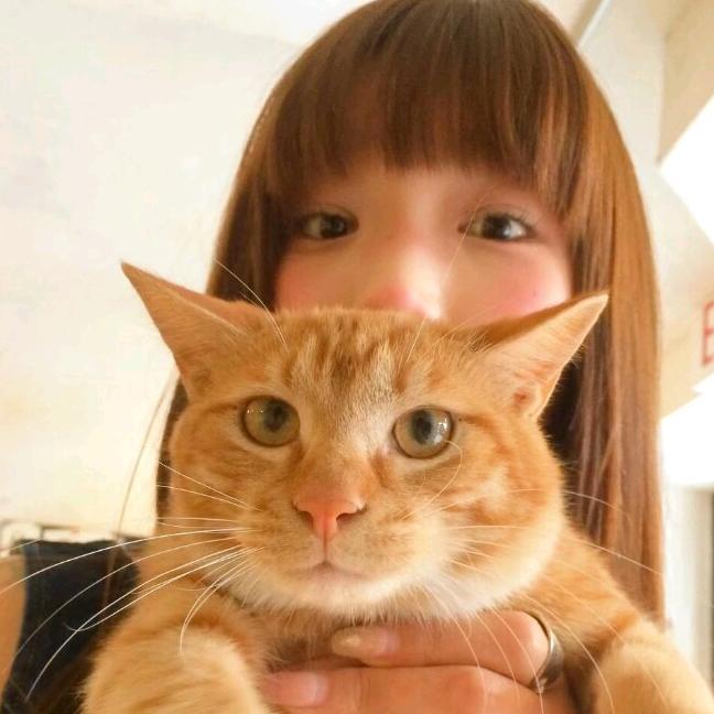 养只小猫ฅ^•ﻌ•^ฅ
