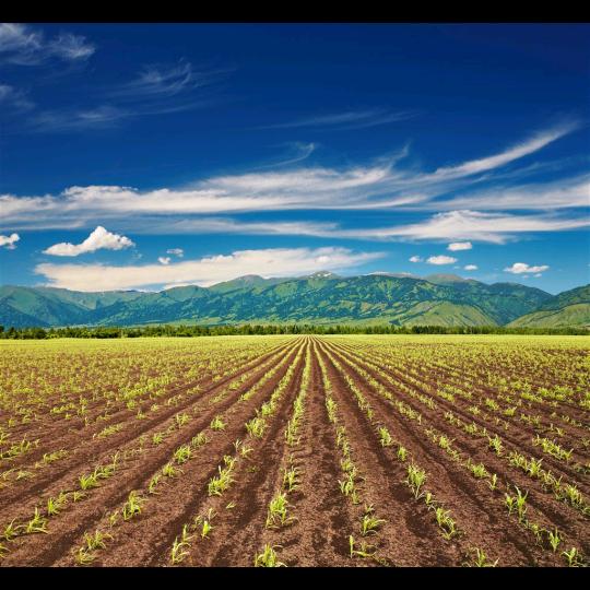 ღ᭄💞霞໑ຼ₀₂5💕