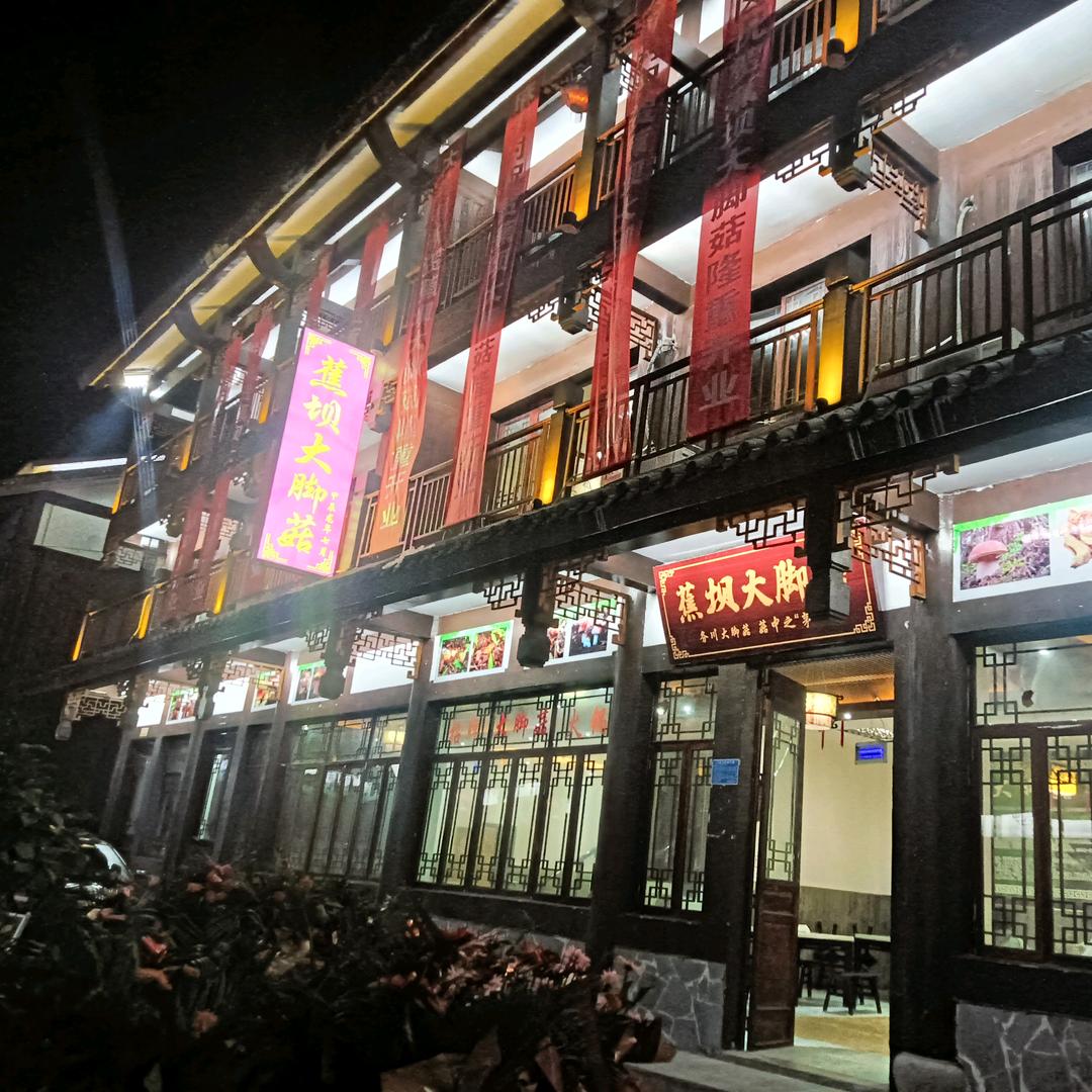 务川龙谭蕉坝大脚菇