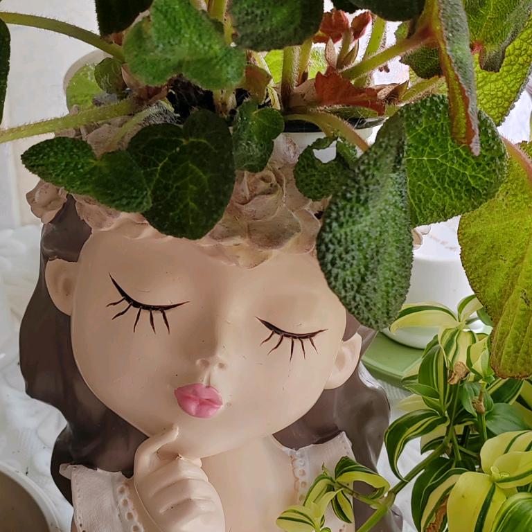 花儿的花园