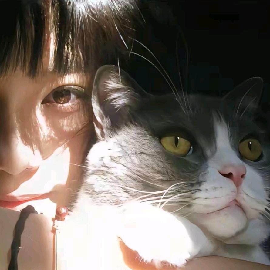 厸厸