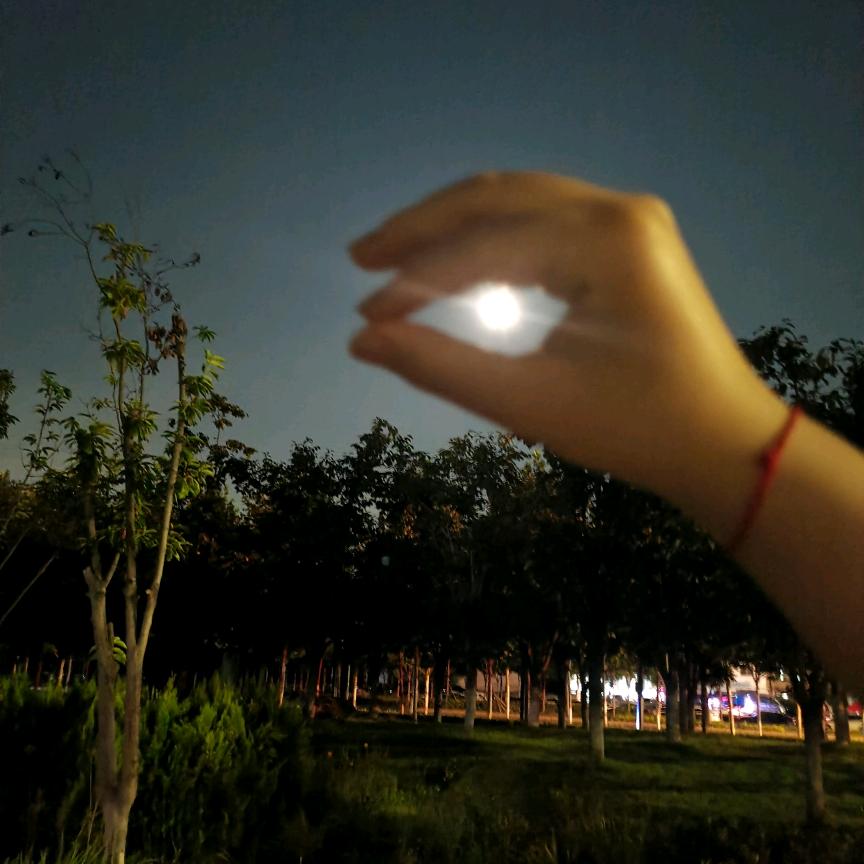 羊村懒羊羊