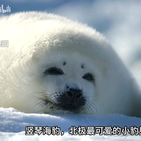 稀里糊涂头像