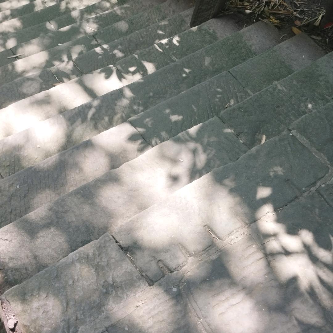 今日天晴头像