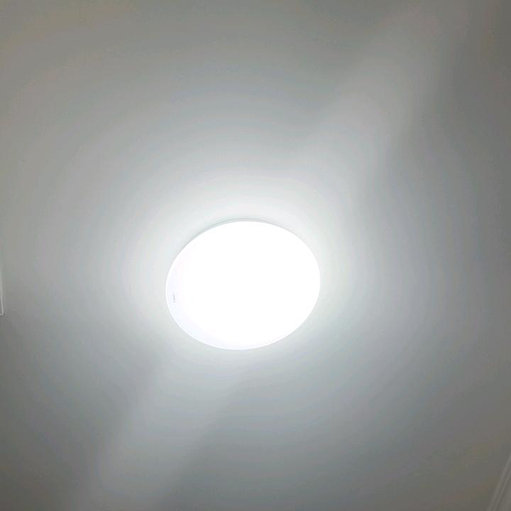 向日葵🌻🌻🌻