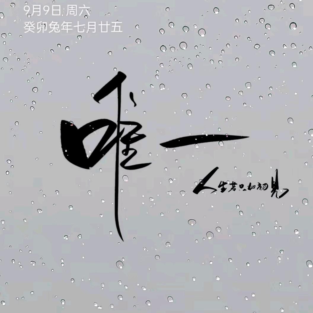 唯一影视tyt