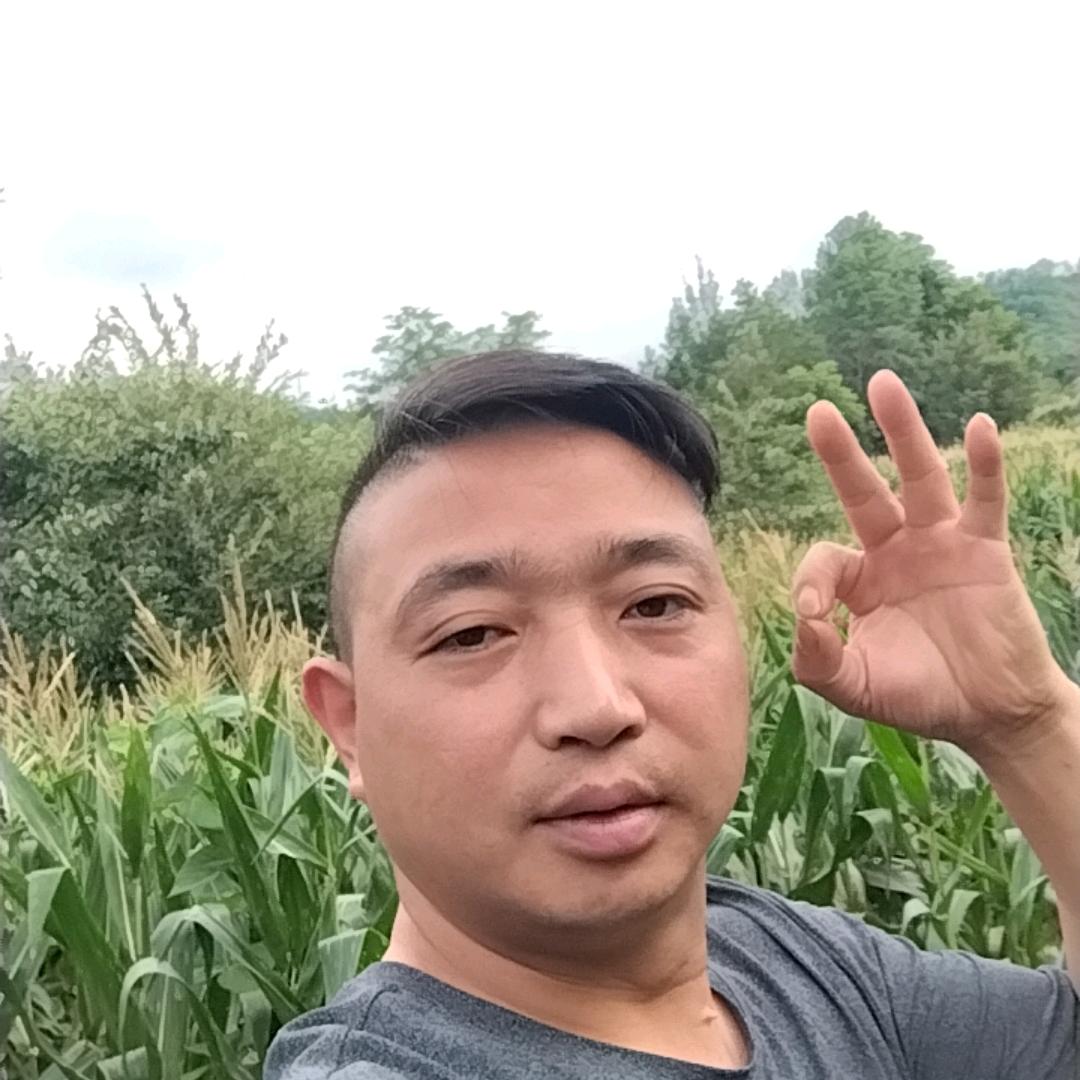 农村小高