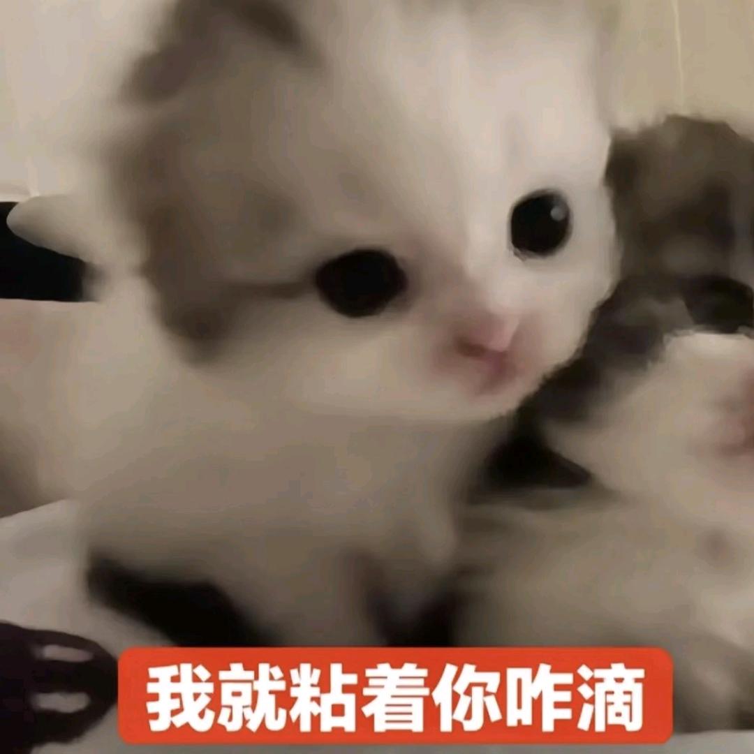向心