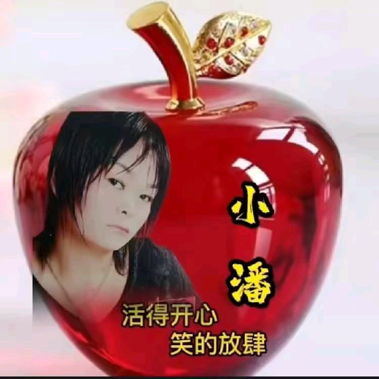 小潘专业推秧子