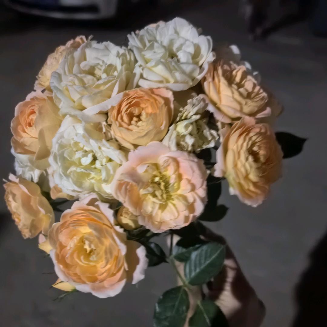 混世小魔王🙄 🙄