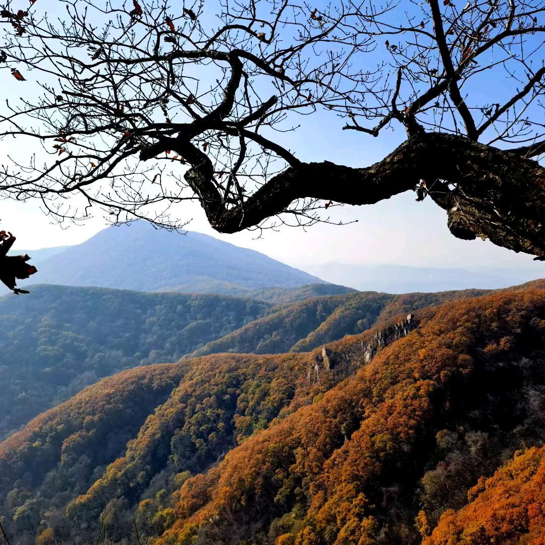 你的世纪我来过巜拒绝))