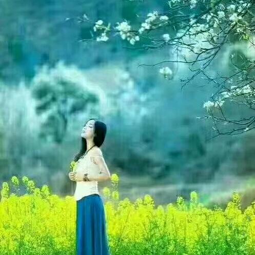 Shanshan