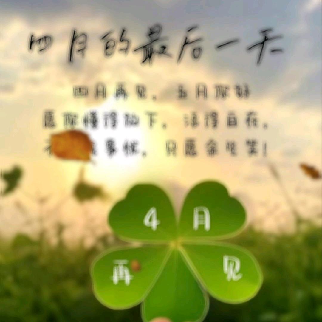 悉云云