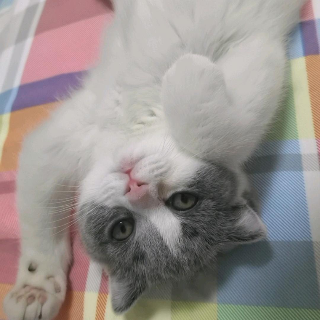 俺叫王招财😎