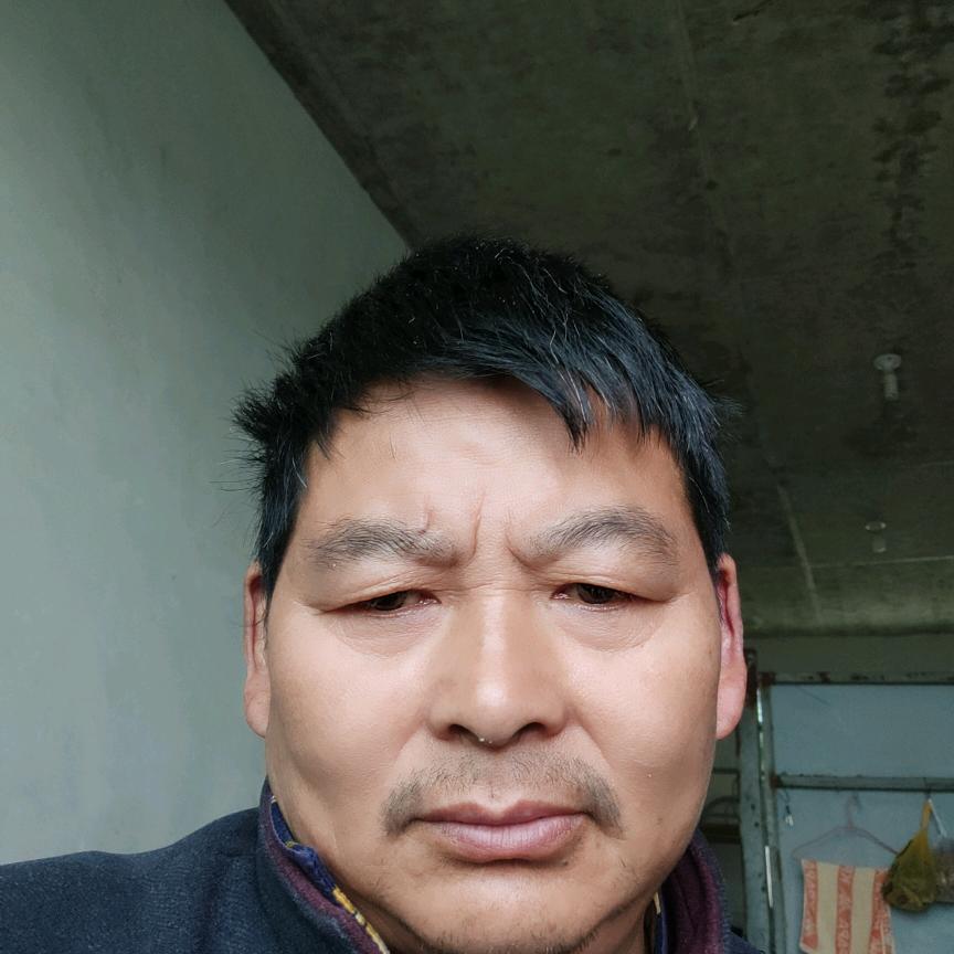 明媚人生