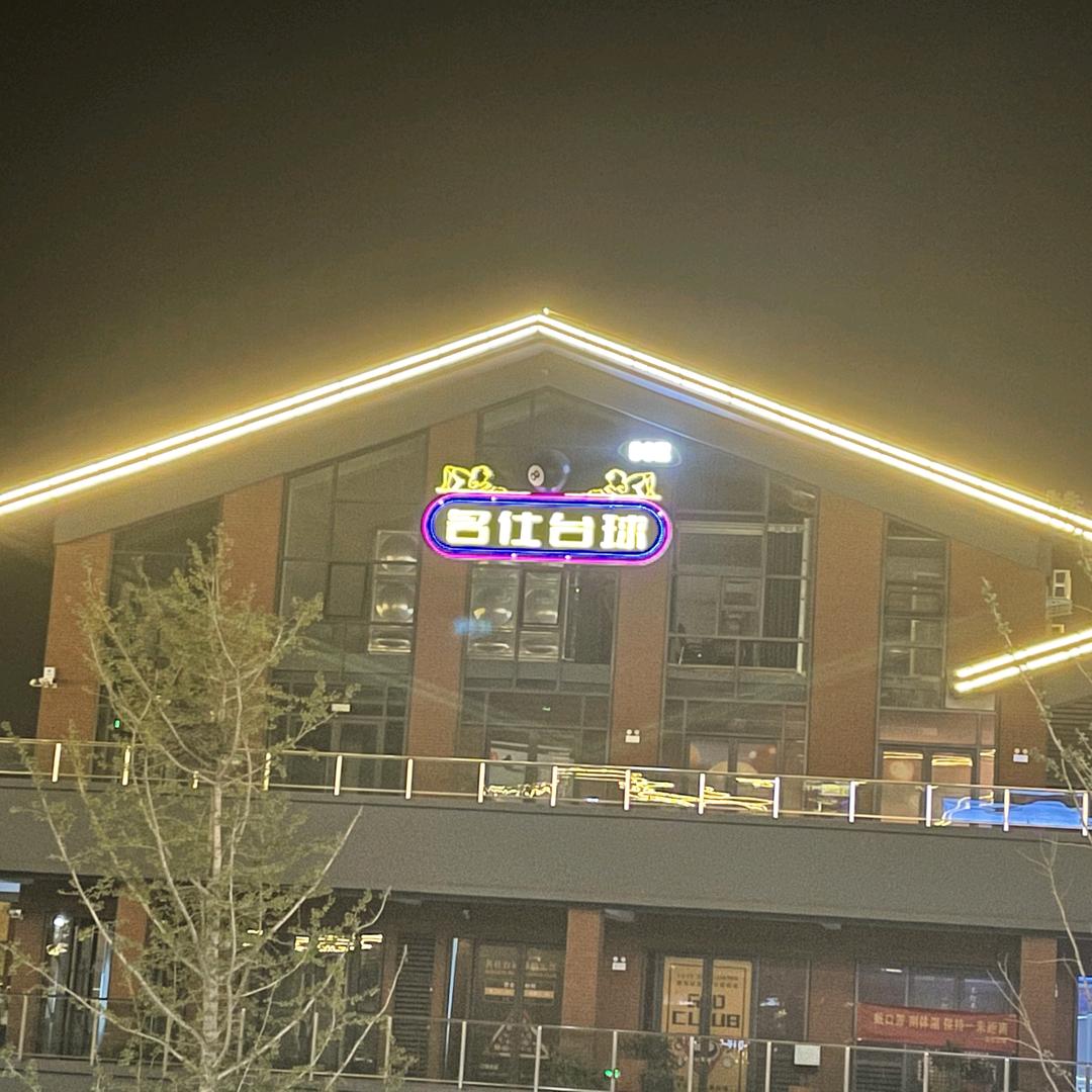 名仕台球正商旗舰店