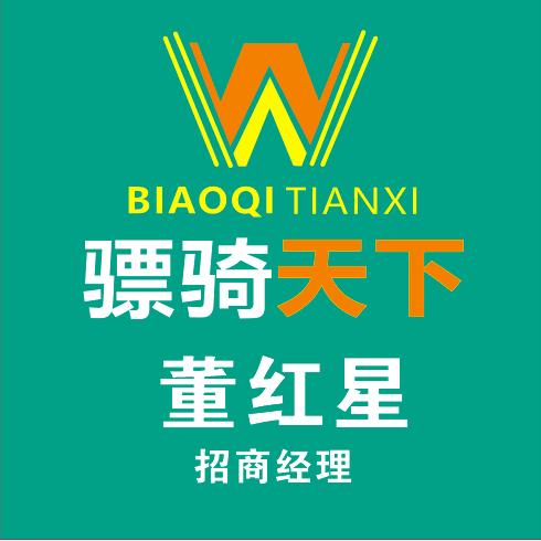 骠骑天下