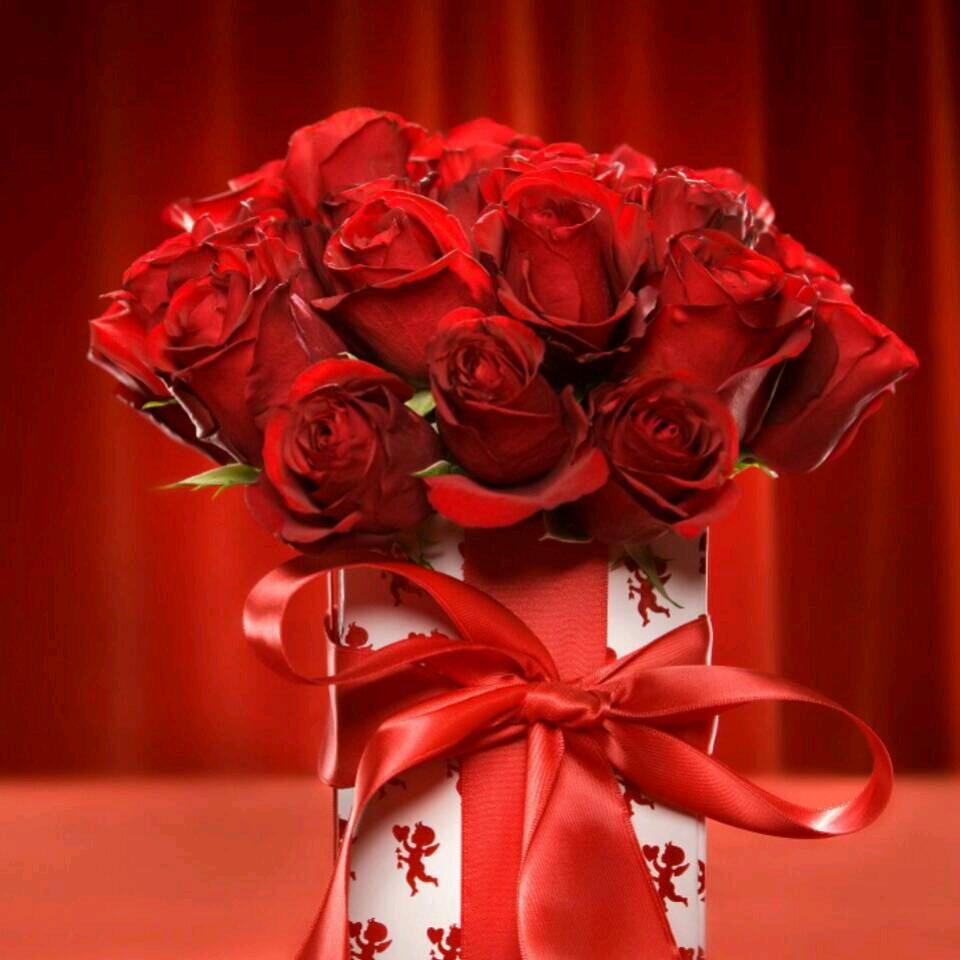 风花雪月72鼠哥