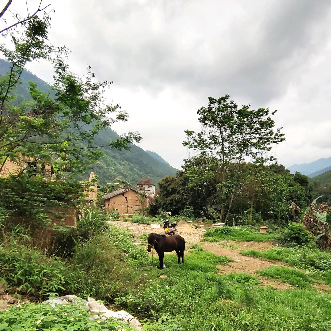 小瑶子🌾🌼大瑶山助农