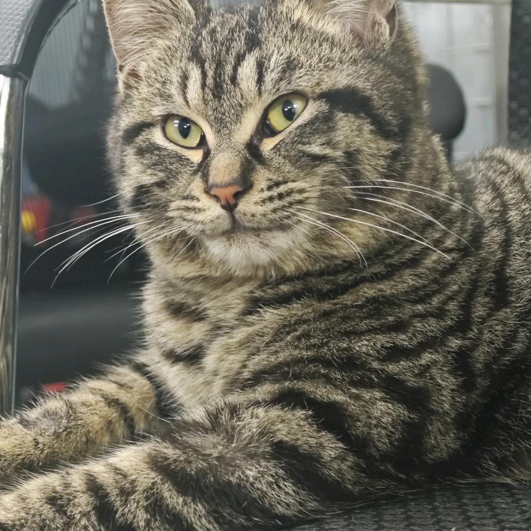 昕晨机车（收协议户）