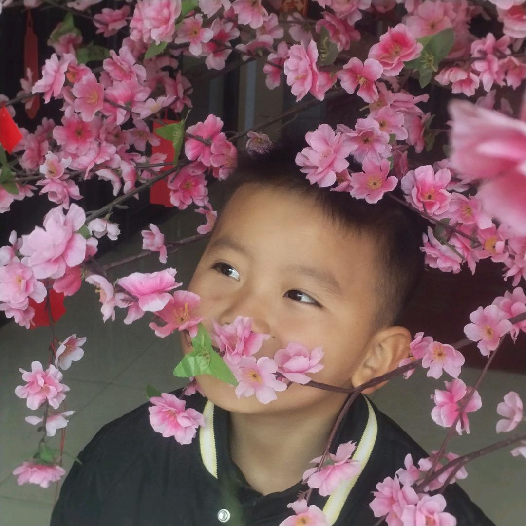 怡朵新淇的芸