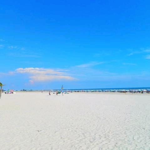 🦋向阳而生☀️ฅʕ•̫͡•ʔฅ