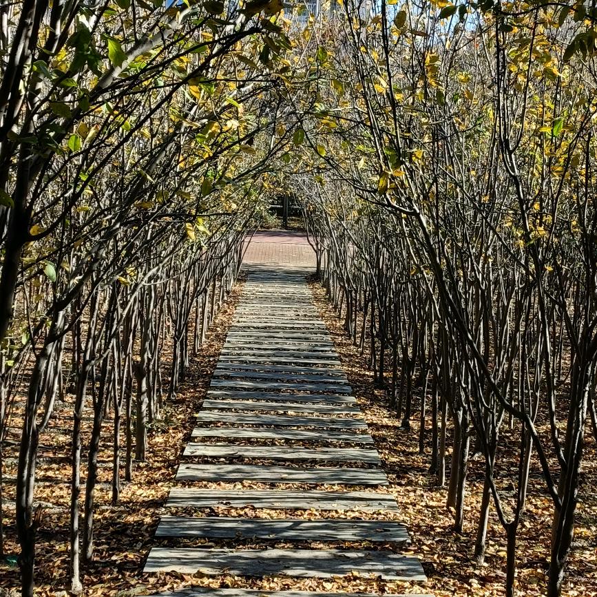 老爸知道