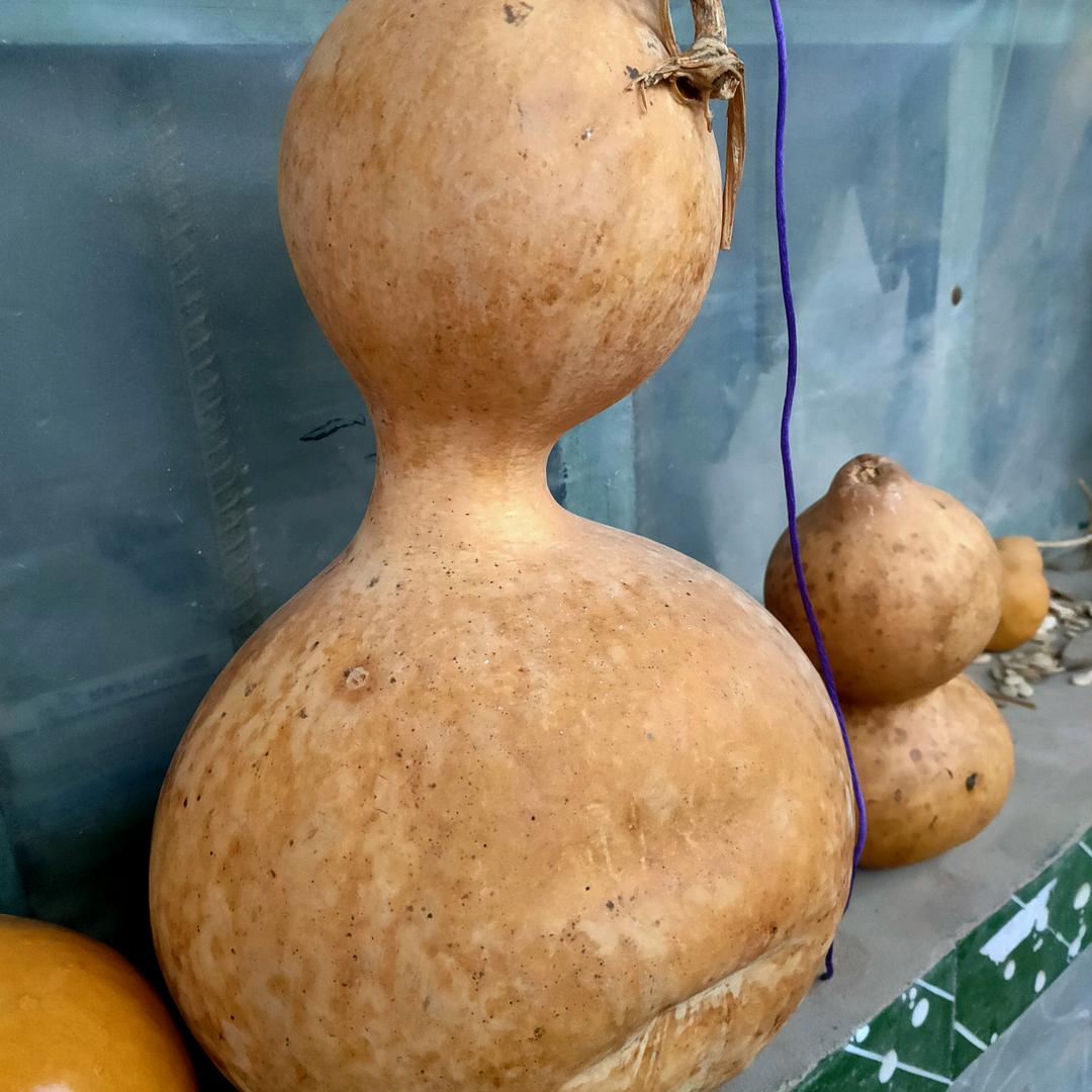 又是一阵秋风过_21