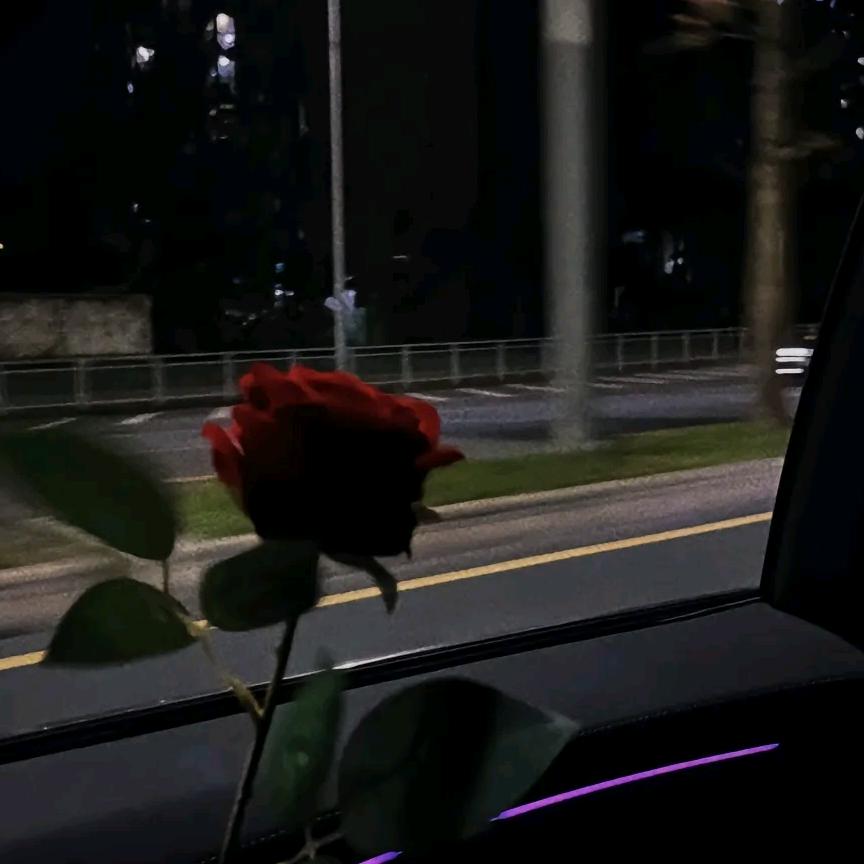 爱吃香菜不吃葱🌱