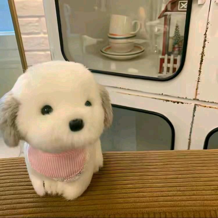 从明天