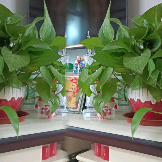 四季沐歌^O^光哥