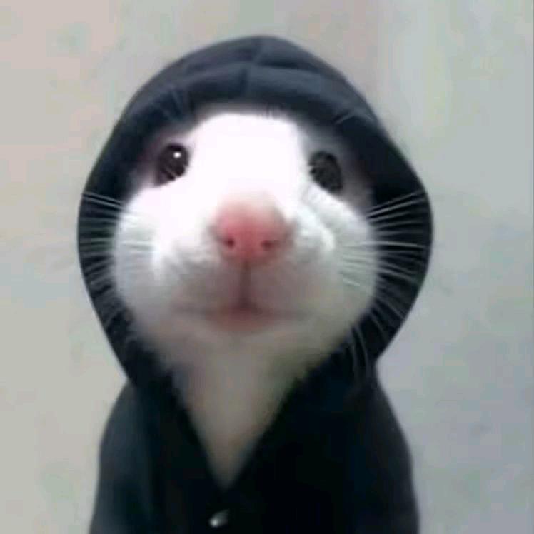 min嘉豪