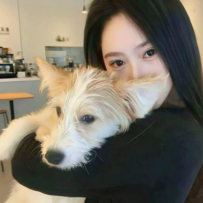 凸凸
