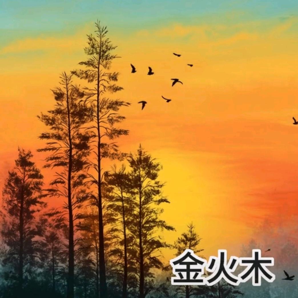 符先生☯️🌎🌗