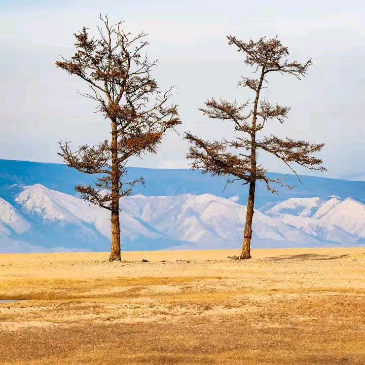流觞