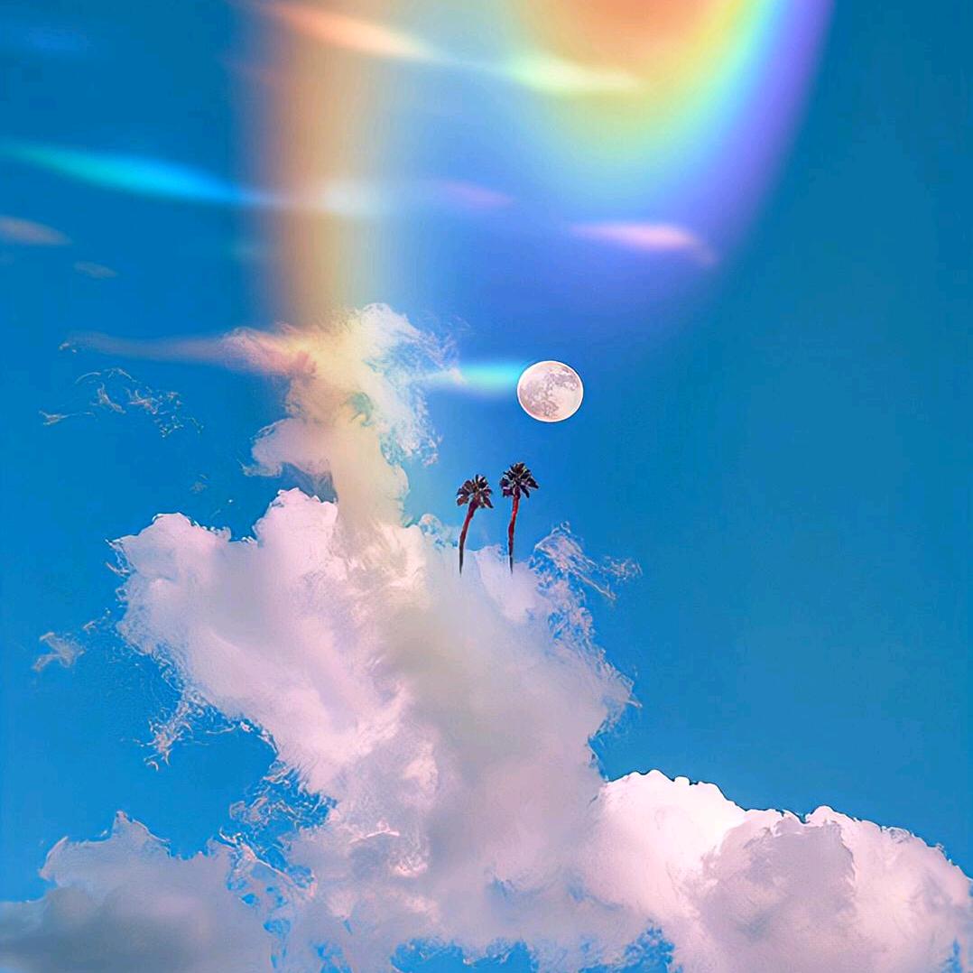 丽姐