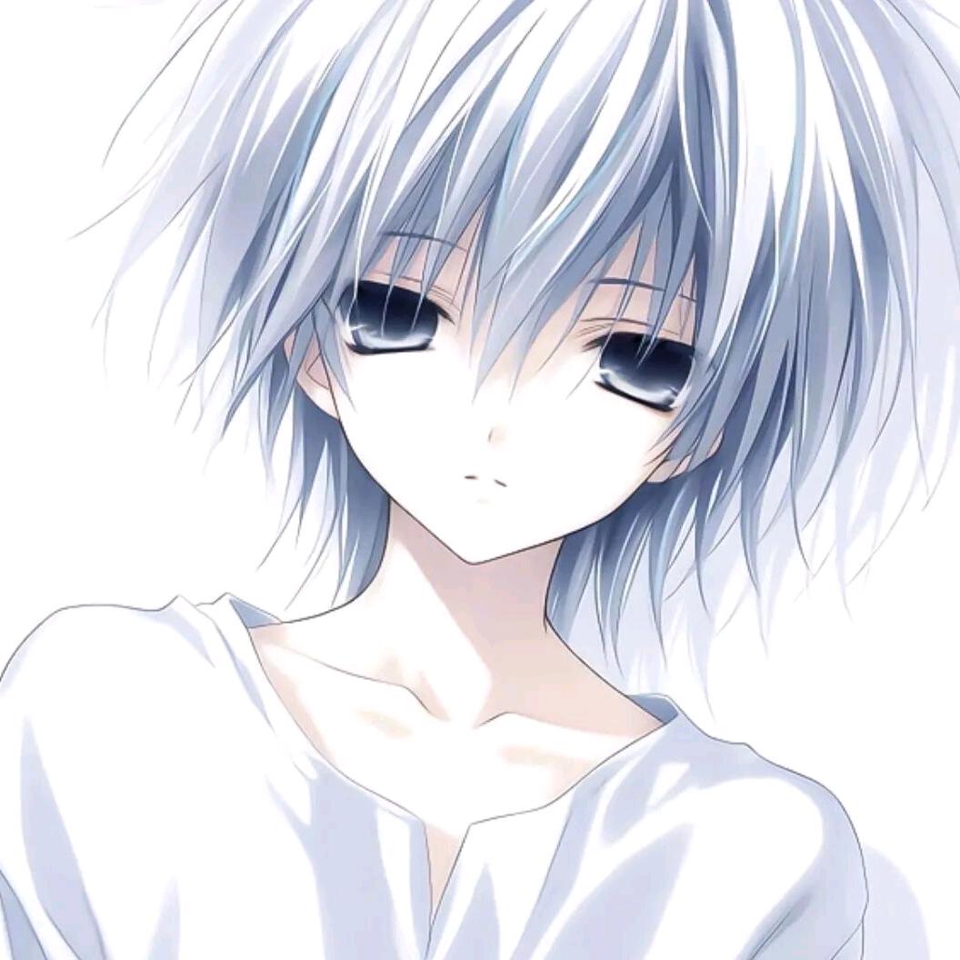 鸽子