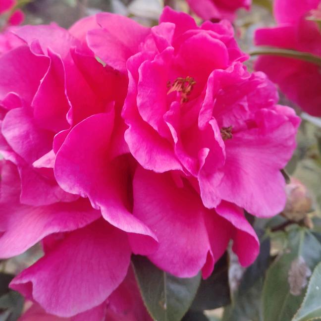 ℳ像风ঞ一样🌺࿐ᩚ
